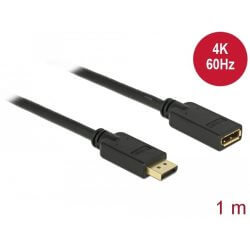 Câble prolongateur DisplayPort 1.2 4K 60Hz M/F 1m