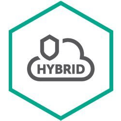 Endpoint Hybrid Cloud Security Server Enterprise