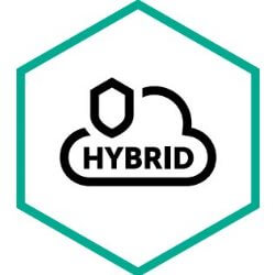 Endpoint Hybrid Cloud Security Server