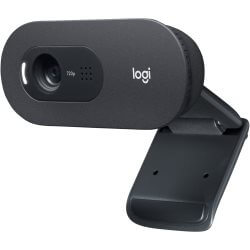 Caméra Logitech Webcam C505e
