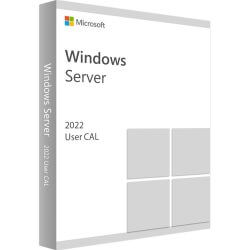 Windows Server CAL 2022 OEI 1 user