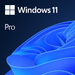 Windows 11 Pro OEM 64 bits DVD