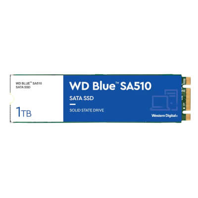 SSD WD Blue SA510 1To -Format M.2 2280