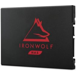 SSD IronWolf 125   250go