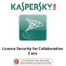 Licence Security for Collaboration 2 ans