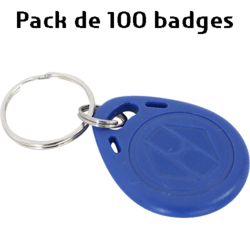 Pack de 100 badges RFID pour GDS37xx